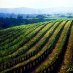 Paso Robles Paso RoblesOil on Linen Panel20 x 16 inches