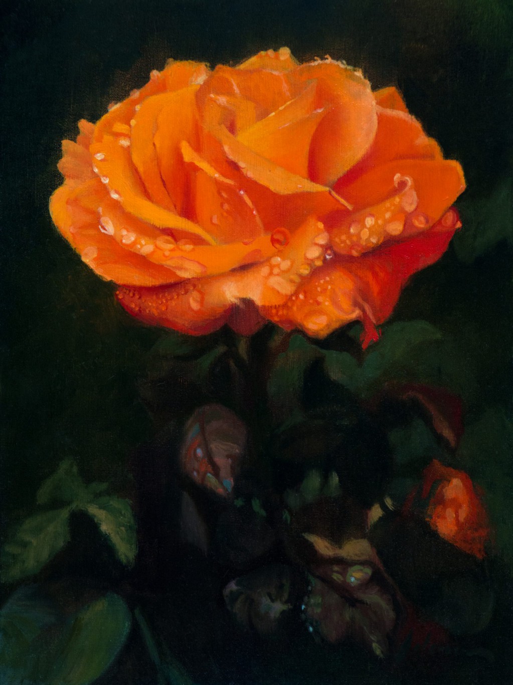 Orange Rose | 9x12 inches | oil on panel