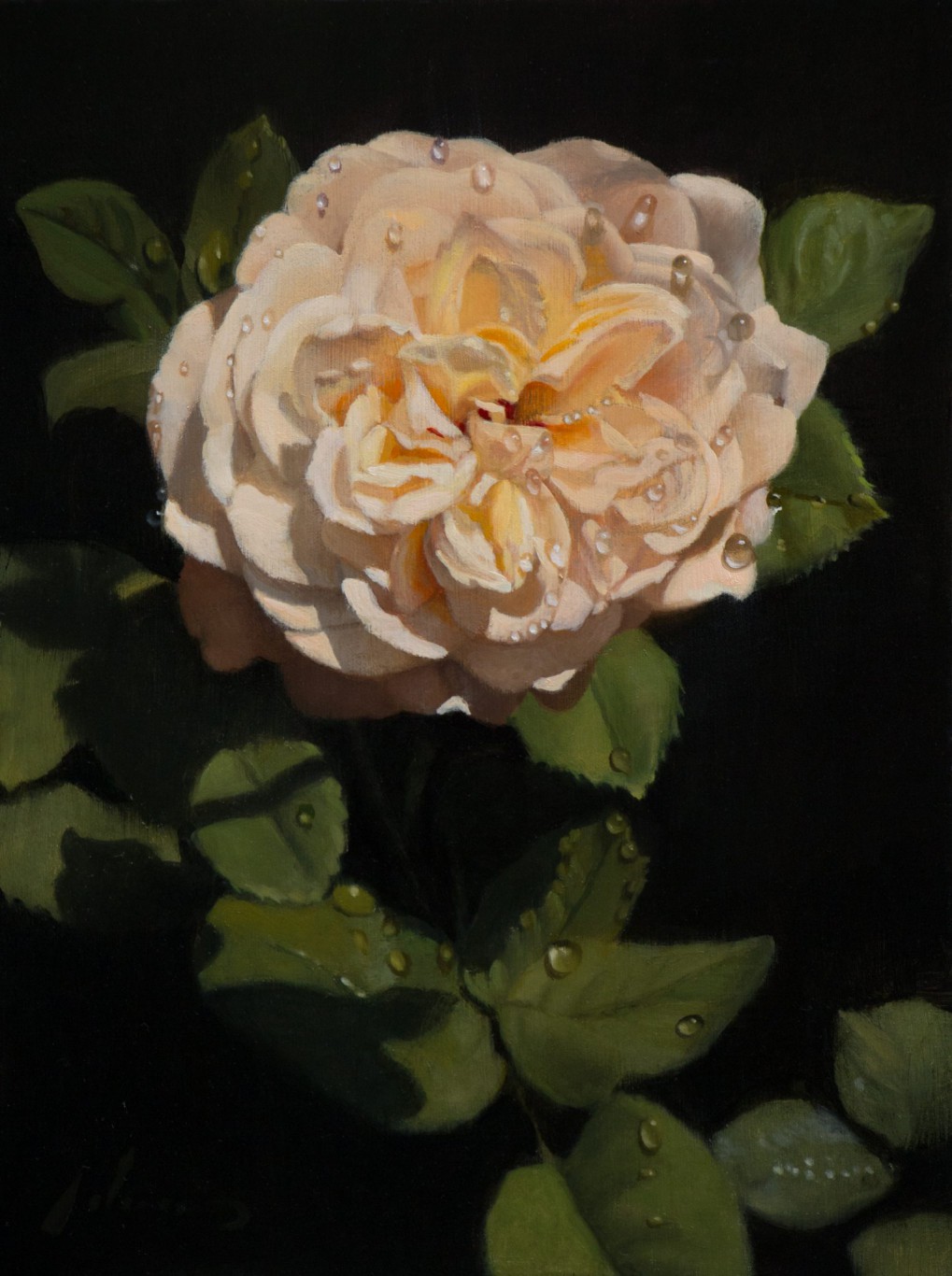 White Rose | 9x12 inches | oil on panel