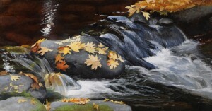 Fallen Leaves - Oregon Landscape Series