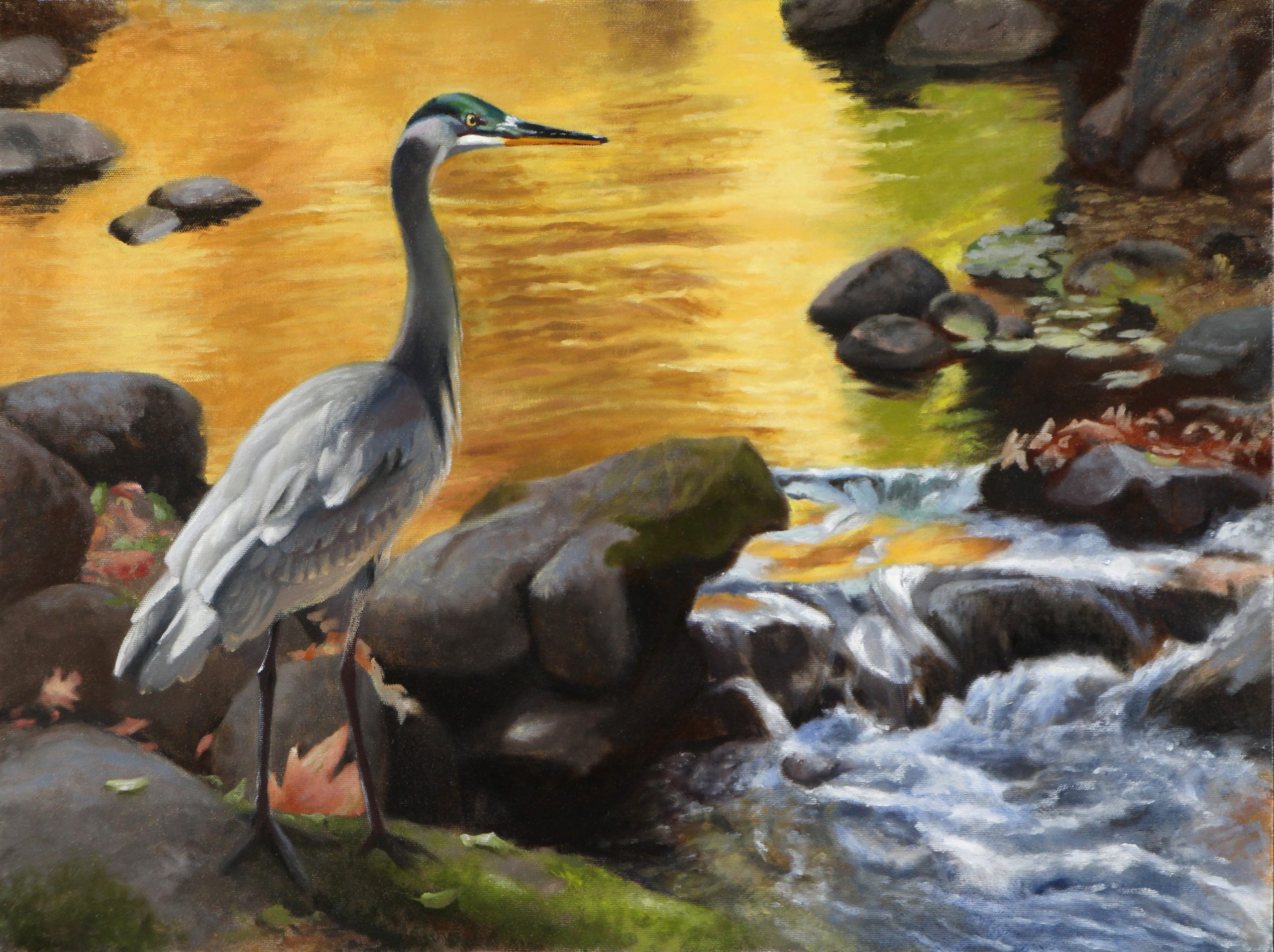 MLAdams-Heron-18×24 inches-Oil on Canvas