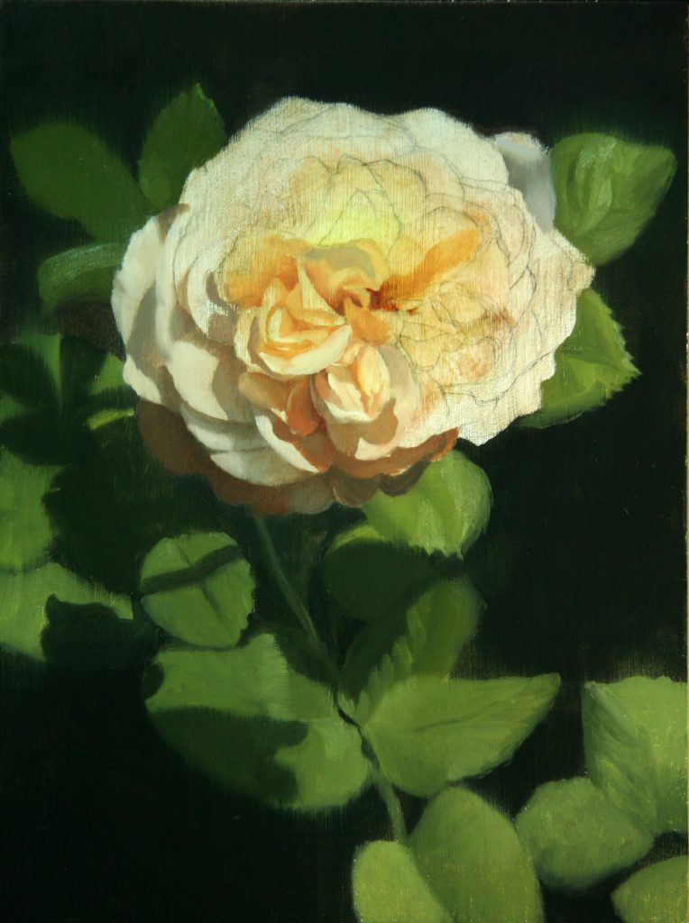 White Rose block-in 2