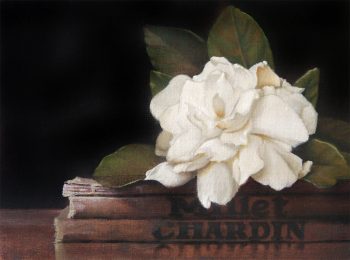 Gardenia with Chardin